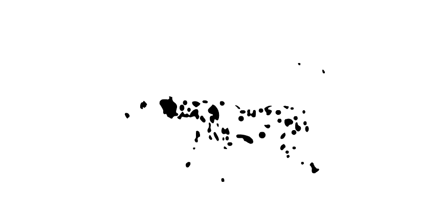 Kontakt